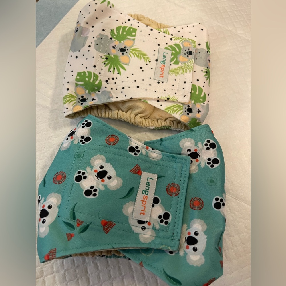 Dog diaper